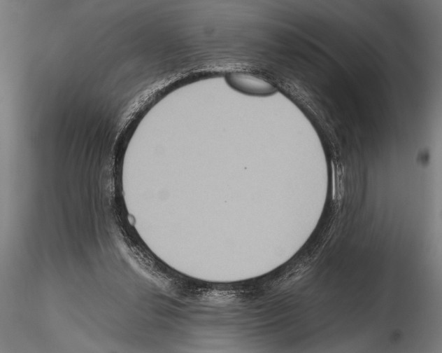 X0000115190252200912091117