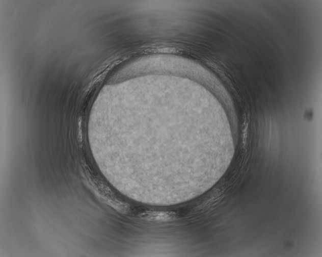 X0000115190254200912091117