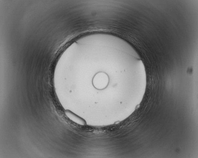 X0000115190256200912091117