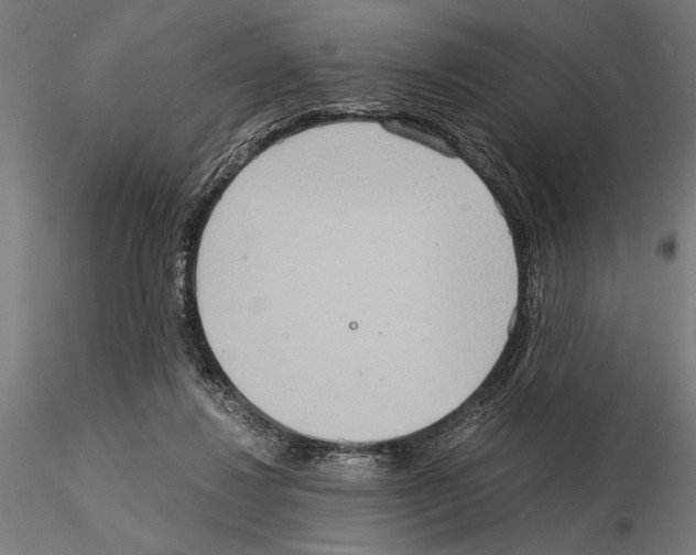 X0000115190260200912091117