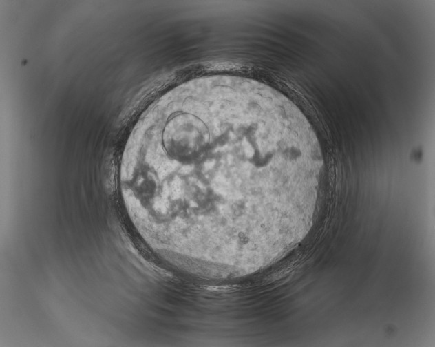 X0000115190261200912091117