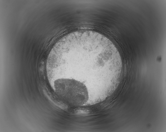 X0000115190263200912091117