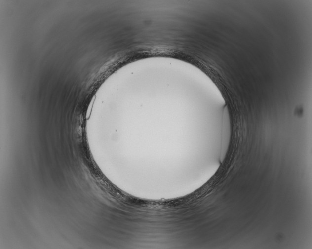 X0000115190264200912091117