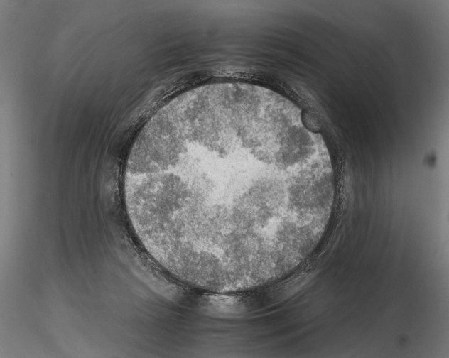 X0000115190265200912091117