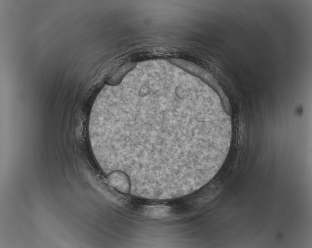 X0000115190266200912091117