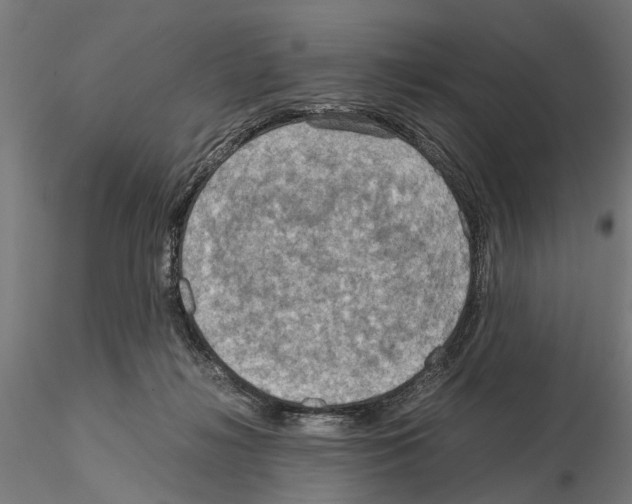 X0000115190268200912091117