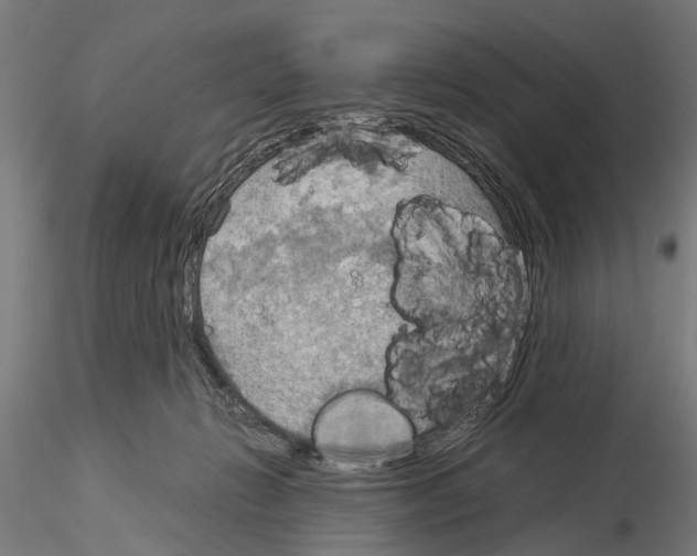 X0000115190270200912091117