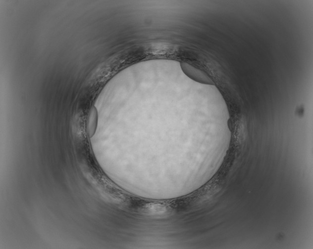 X0000115190272200912091117