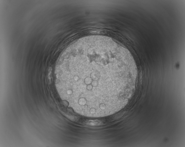 X0000115190275200912091118