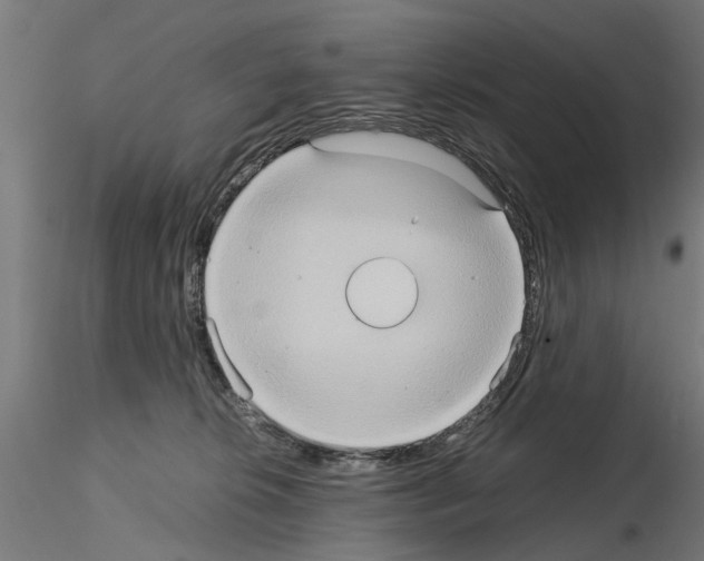 X0000115190276200912091118