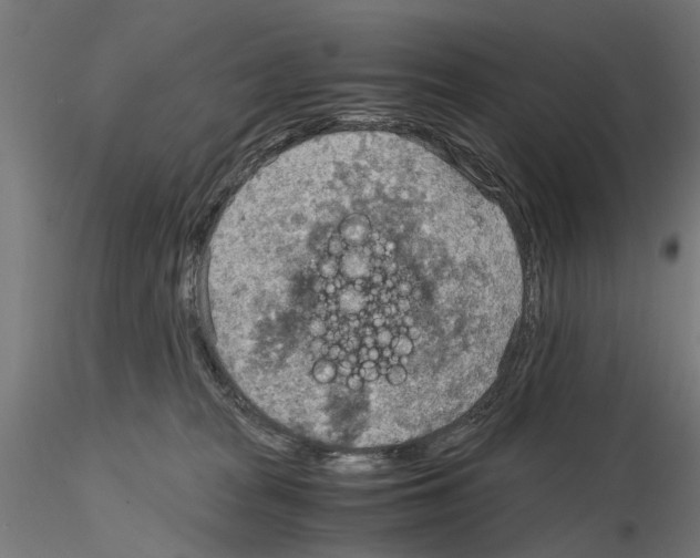 X0000115190277200912091118