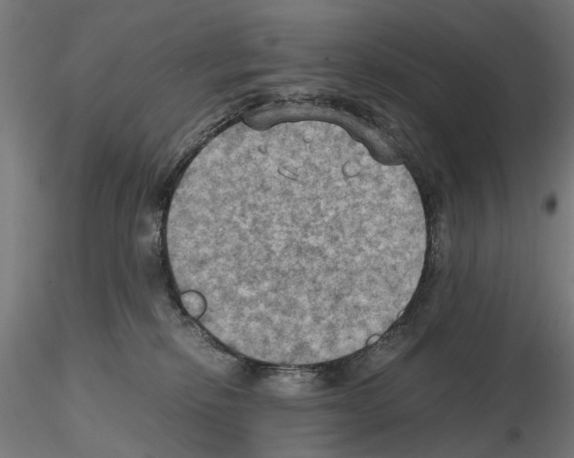 X0000115190278200912091118