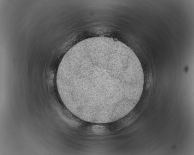 X0000115190279200912091118