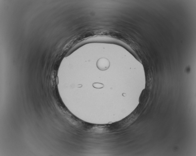 X0000115190280200912091118