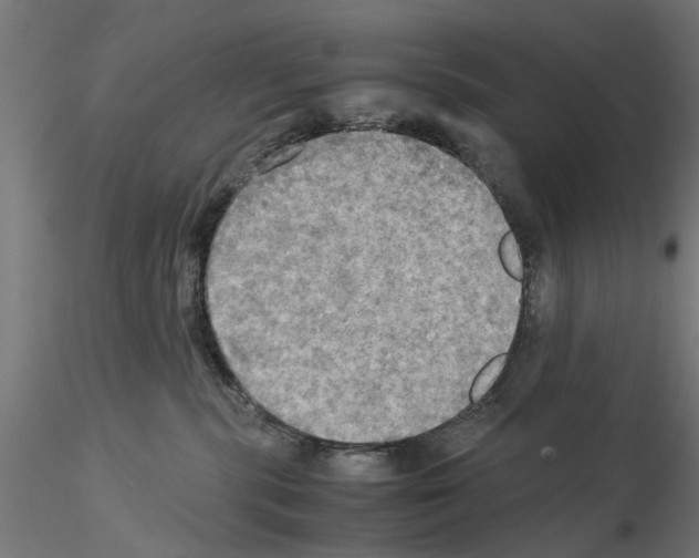 X0000115190283200912091118