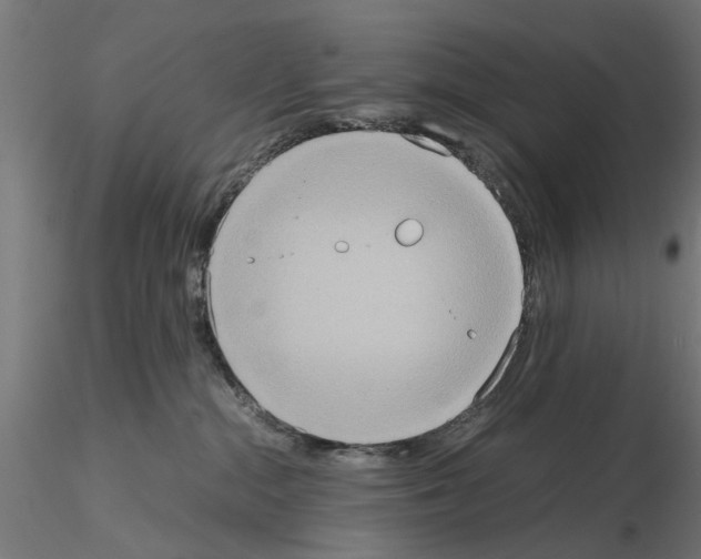 X0000115190284200912091118