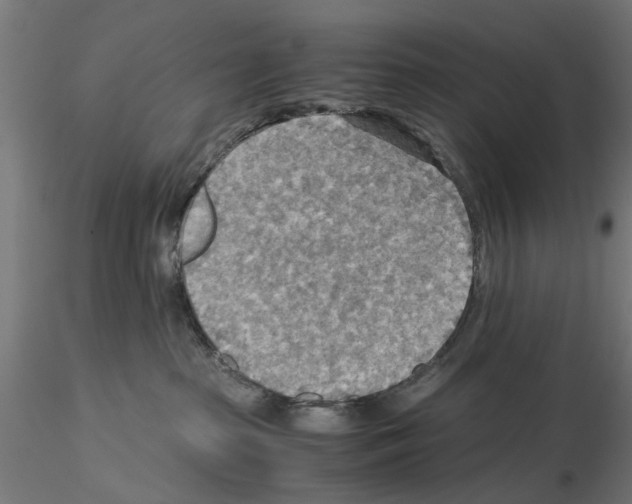 X0000115190285200912091118