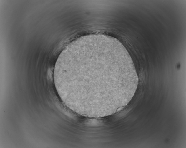 X0000115190286200912091118