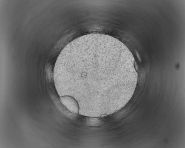 X0000115190287200912091118