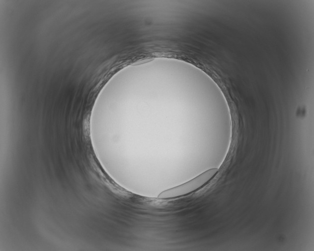 X0000115190288200912091118