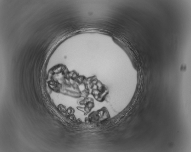 X0000115190289200912091117