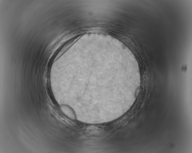 X0000115190290200912091117