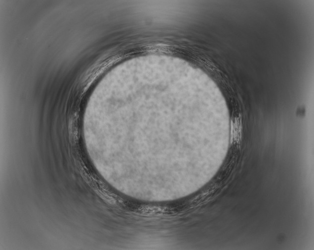 X0000115190291200912091117