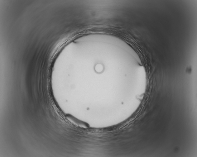 X0000115190293200912091117