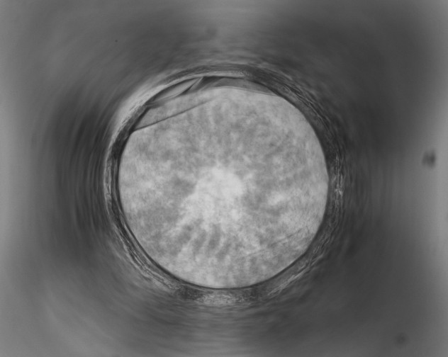 X0000115190294200912091117