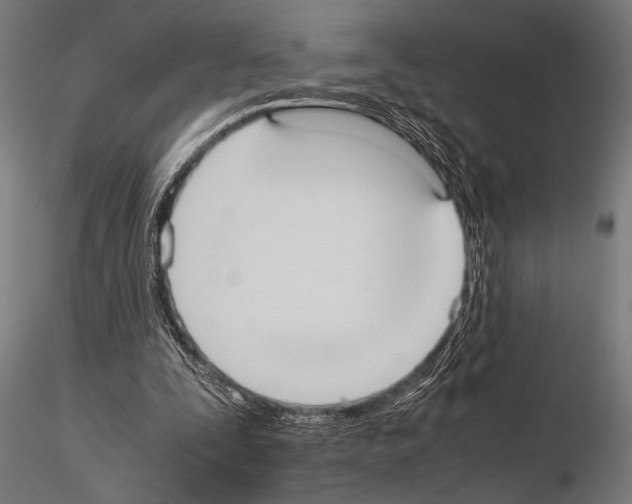 X0000115190295200912091117