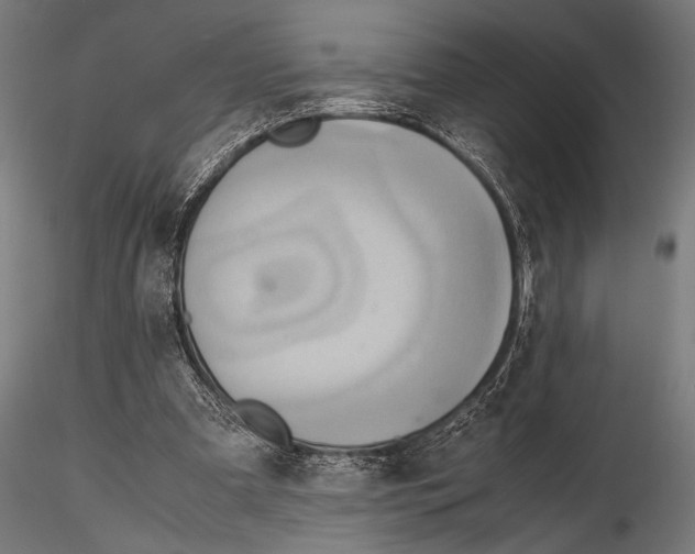 X0000115190297200912091117