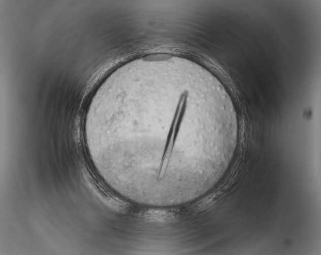 X0000115190298200912091117