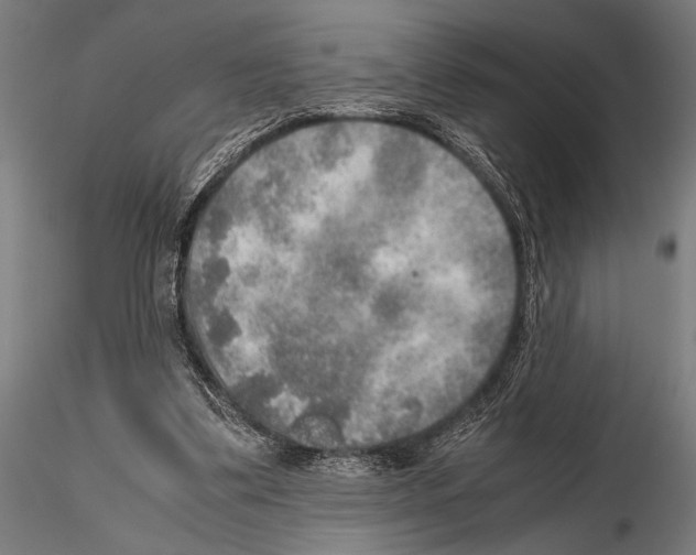 X0000115190299200912091117