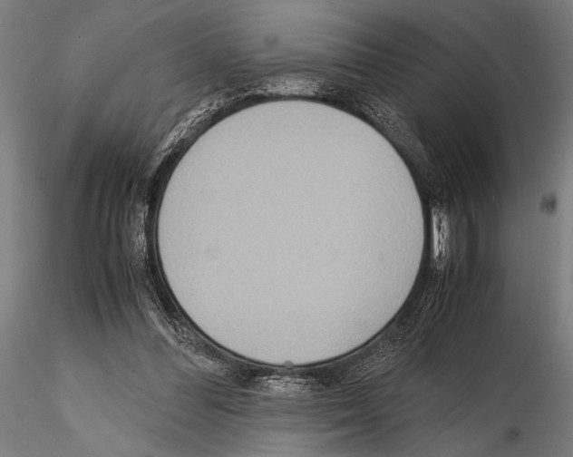 X0000115190300200912091117