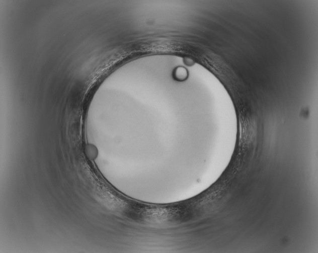 X0000115190301200912091117