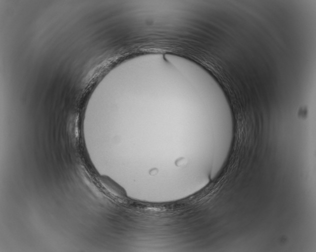 X0000115190302200912091117