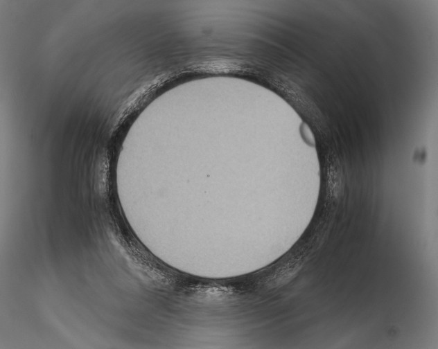 X0000115190304200912091117