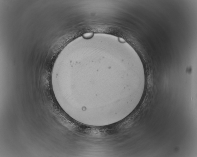 X0000115190305200912091117