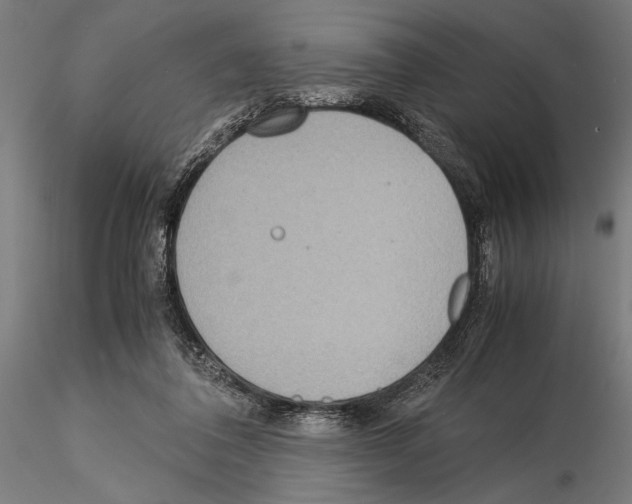 X0000115190308200912091117