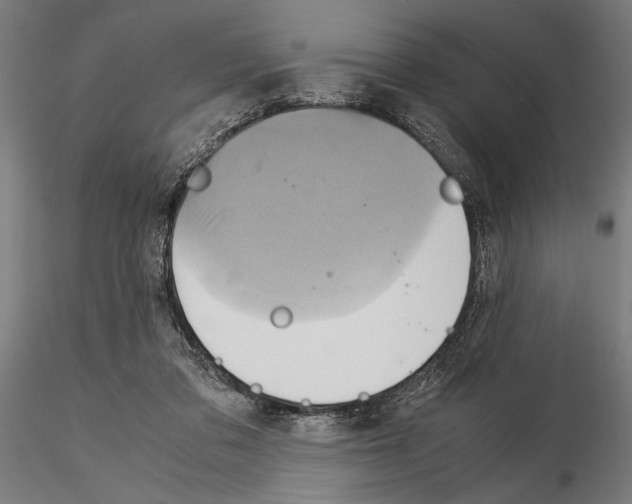 X0000115190309200912091117