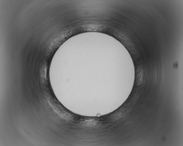 X0000115190310200912091117