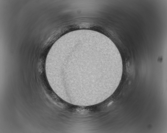 X0000115190311200912091117