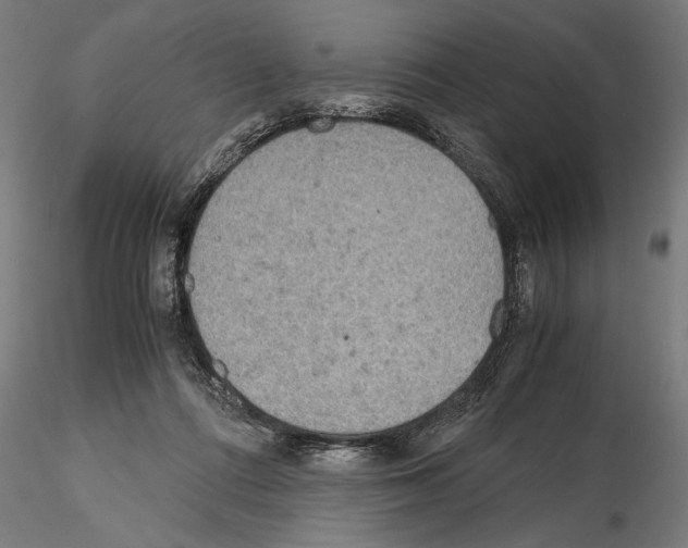 X0000115190312200912091117