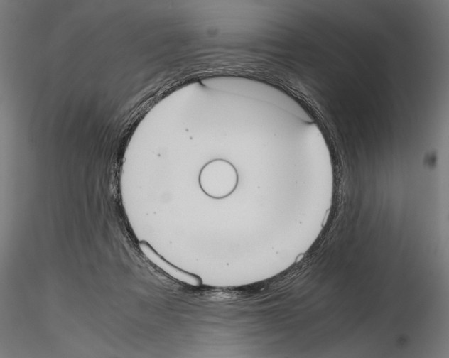 X0000115190313200912091117