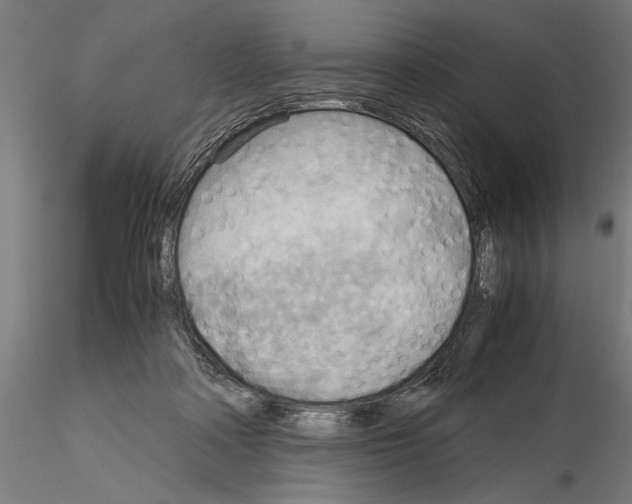 X0000115190314200912091117