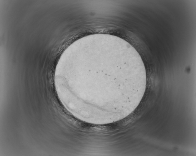 X0000115190317200912091116