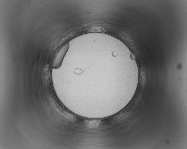 X0000115190318200912091116