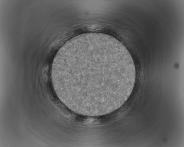 X0000115190319200912091116