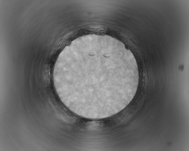 X0000115190320200912091116