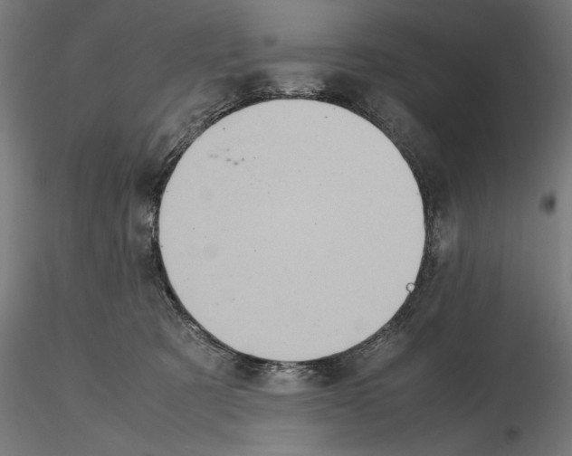 X0000115190321200912091116